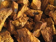 Mocny podwójny ekstrakt Czaga+Białoporek brzozowy 550ml Full Spectrum