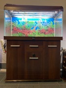 Akwarium 200 l na sprzedaż 