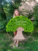 Drzewo makrama mech chrobotek