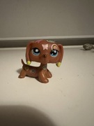 Littlest pet shop jamnik 