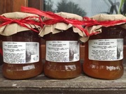 SYROP Z MŁODYCH PĘDÓW SOSNY I PIGWOWCA 540 ML DOMOWY ZGODNY Z NATURĄ