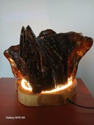 Lampa z korzenia dębu ,LED