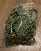 Wiesiołek, ziele, suszony 