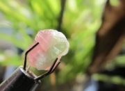 Dwukolorowy naturalny turmalin, różowo-zielony