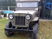 Jeep willys 1953