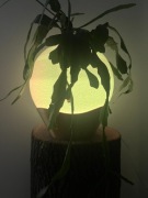 Doniczka Osłonka specjalny projekt Lampka LED 5W USB pilot 16kolorów 18cm  