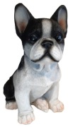 Skarbonka pies Buldog Francuski - Duża