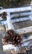Kwietnik lub świecznik NATURALNY Oceń!
