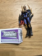 Transformers Animated Blackarachnia