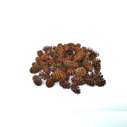 Szyszki olchy czarnej olchowe 100g z Bieszczad