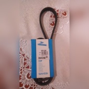 DAYCO PASEK KLINOWY WIELOROWKOWY