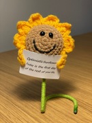 Ozdoba pluszowa na biurko