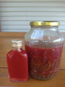 Olej z dziurawca 100 ml ,regeneracja,masaż Breussa, dyskopatia  