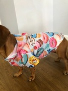 Płaszczyk/ubranko przeciwdeszczowy dla Jamnika