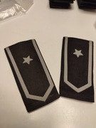 PAGONY LWP STARE CZARNE   chorąży