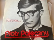 Piotr Paleczny, obrazki z wystawy - płyta winylowa