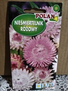 Nieśmiertelnik różowy 