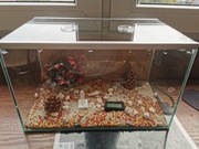 Zestaw - Formikarium King Cork 