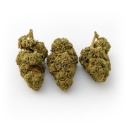 Susz CBD  Amnesia 10g