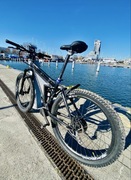 Rower elektryczny Trek konwersja TSDZ2