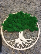 Drzewko szczęścia Mech Chrobotek