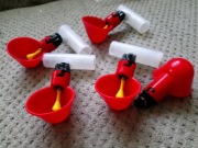 Poidło dla drobiu 5szt 