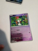 15 różnych kart Pokémon holo/reverse holo itp... można kupić każdą osobno 