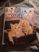 Segregator duzy A5 w kotki