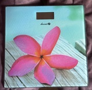 Waga lazenkowa Lucznik