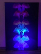 Obraz UV grzyby 120x80
