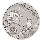 MONETA PLATYNA KOOKABURRA 2023 ROK 1/10 UNCJI PLATYNY PERTH MINT 1/10 oz Pt