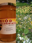 Miód wielokwiatowy 720 ml z własnej pasieki