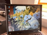 Matryca - Lenovo ThinkPad T60 R60 R61 15" 4:3 - BDB. bez wad