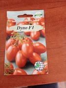 Nasiona Pomidor Dyno f1 10 sztuk profi