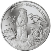 Srebrna moneta - Świstak 2006 - 0,84 oz uncji Ag 999. Czytaj opis