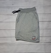 GANT SPODENKI DRESOWE MĘSKIE SZORTY LOGO SPORTOWE