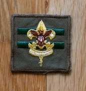 USA AMERYKAŃSKA NASZYWKA PATCH SKAUTÓW LILIA KWADRAT LATA 60