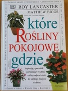 Które ROŚLINY POKOJOWE gdzie LANCASTER