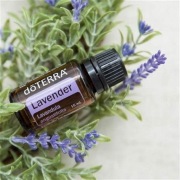 Olejek eteryczny Lawenda 15ml doTERRA