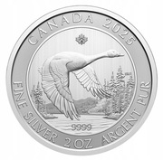 Kanadyjska Gęś 2oz srebrna moneta srebro 9999 24h