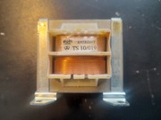Transformator TS10/019 (Indel)