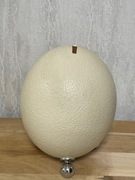 Skarbonka z naturalnego jajka strusiego – unikalna i praktyczna ozdoba