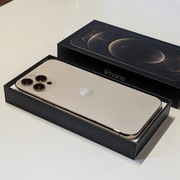 iPhone 12 Pro Max, Gold, 512 GB