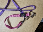 Smycz i obróżka dla małego kociaka Nobby 25 zł