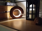 Lampka led klimat loft pieniek jabłoni