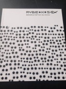 Biennale Sztuki Młodych Rybie Oko 5 Słupsk 2008