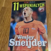 11 wspaniałych Wesley Sneijder 