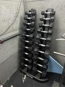 Zestaw Hantli 1-10 kg Taurus TPE Hex-Dumbbells and Rack 