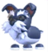 Mini Schnauzer - Adopt Me Roblox