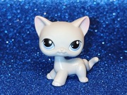 Littlest Pet Shop LPS #246 shorthair oryginalny cat pop Hasbro